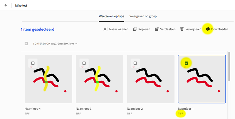 Schermafbeelding 2019-07-16 om 13.33.15.png